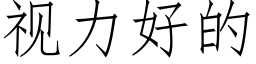 視力好的 (仿宋矢量字庫)