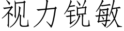 視力銳敏 (仿宋矢量字庫)