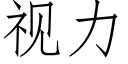 視力 (仿宋矢量字庫)