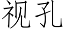 視孔 (仿宋矢量字庫)