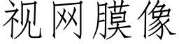 視網膜像 (仿宋矢量字庫)