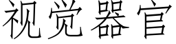 視覺器官 (仿宋矢量字庫)