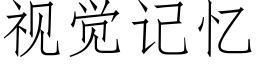 視覺記憶 (仿宋矢量字庫)