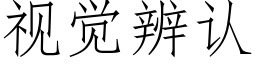 視覺辨認 (仿宋矢量字庫)