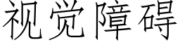 視覺障礙 (仿宋矢量字庫)