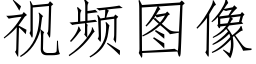 视频图像 (仿宋矢量字库)