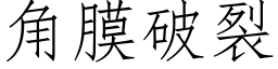 角膜破裂 (仿宋矢量字库)