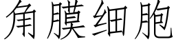 角膜細胞 (仿宋矢量字庫)