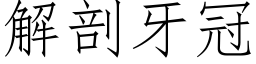 解剖牙冠 (仿宋矢量字库)