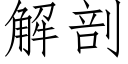 解剖 (仿宋矢量字庫)