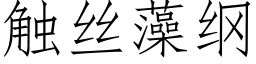 觸絲藻綱 (仿宋矢量字庫)