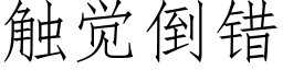 觸覺倒錯 (仿宋矢量字庫)