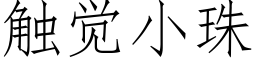 觸覺小珠 (仿宋矢量字庫)