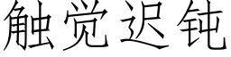 觸覺遲鈍 (仿宋矢量字庫)