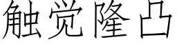 觸覺隆凸 (仿宋矢量字庫)