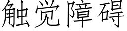 觸覺障礙 (仿宋矢量字庫)