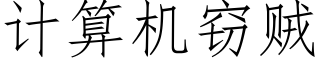 計算機竊賊 (仿宋矢量字庫)