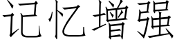 记忆增强 (仿宋矢量字库)