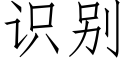 识别 (仿宋矢量字库)