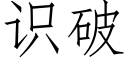 识破 (仿宋矢量字库)