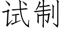 试制 (仿宋矢量字库)