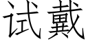 试戴 (仿宋矢量字库)