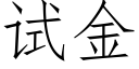 試金 (仿宋矢量字庫)