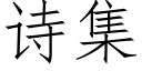 詩集 (仿宋矢量字庫)