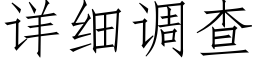 详细调查 (仿宋矢量字库)