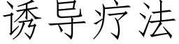 诱导疗法 (仿宋矢量字库)