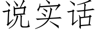 说实话 (仿宋矢量字库)