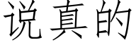 說真的 (仿宋矢量字庫)