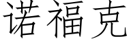 诺福克 (仿宋矢量字库)