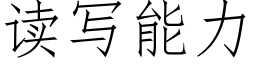 读写能力 (仿宋矢量字库)