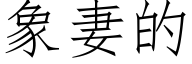 象妻的 (仿宋矢量字庫)