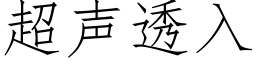 超声透入 (仿宋矢量字库)