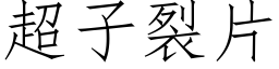 超子裂片 (仿宋矢量字库)