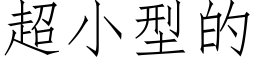 超小型的 (仿宋矢量字库)