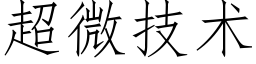 超微技术 (仿宋矢量字库)