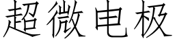 超微电极 (仿宋矢量字库)