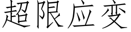 超限应变 (仿宋矢量字库)