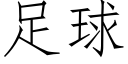 足球 (仿宋矢量字库)