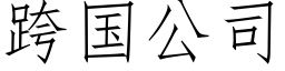 跨國公司 (仿宋矢量字庫)