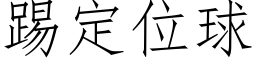 踢定位球 (仿宋矢量字庫)