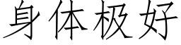 身體極好 (仿宋矢量字庫)