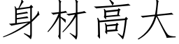 身材高大 (仿宋矢量字库)