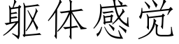 躯体感觉 (仿宋矢量字库)