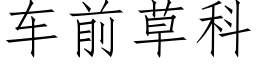 车前草科 (仿宋矢量字库)