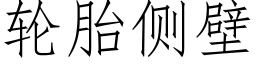 輪胎側壁 (仿宋矢量字庫)