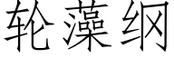 轮藻纲 (仿宋矢量字库)